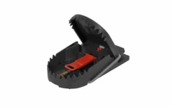 Piège à Rats Swissinno Super Cat Pro, Appât Inclus, Sans Poison